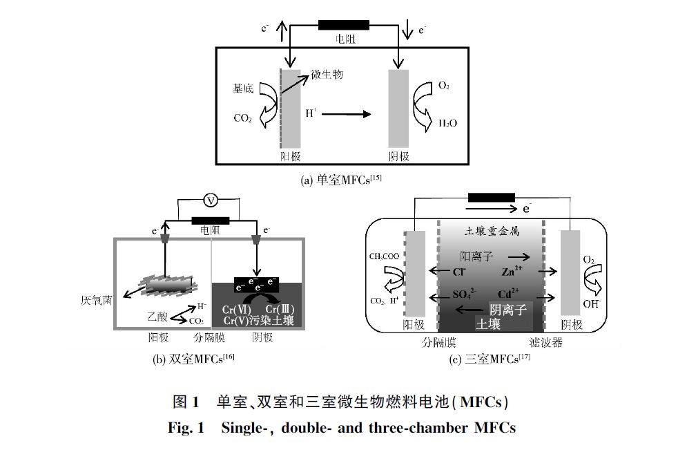 微生物燃料电池在土壤修复中的应用与前景