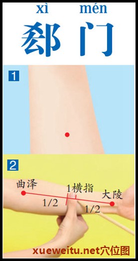 郄门穴准确位置图功效作用和针刺艾灸按摩推拿法