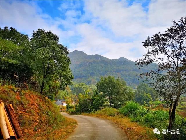 胡山岭古道丨秋色浓郁,郊游佳地