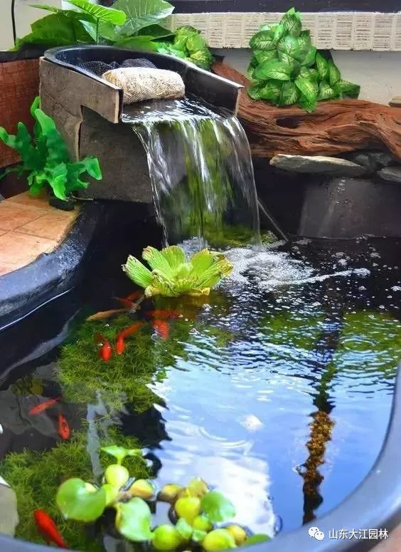美!如果你有院子,一定要做个这样的鱼池