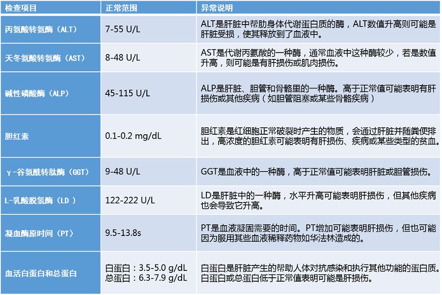 肝功能是否正常?带你了解肝功检查指标及