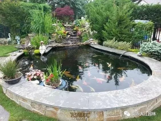 美!如果你有院子,一定要做个这样的鱼池