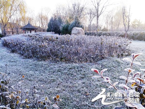 离石出现大范围霜雾天气!