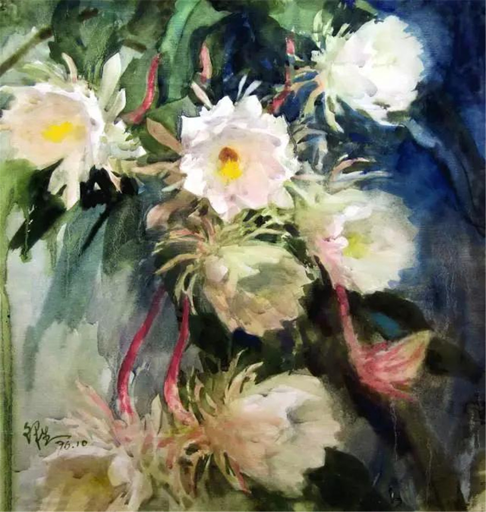 《昙花》54×70cm 1976年