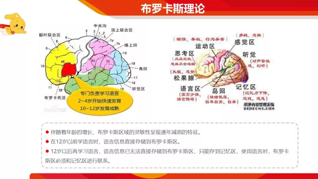 1996年美国科学家利用核磁扫描技术对大脑进行研究,证实布罗卡斯区的