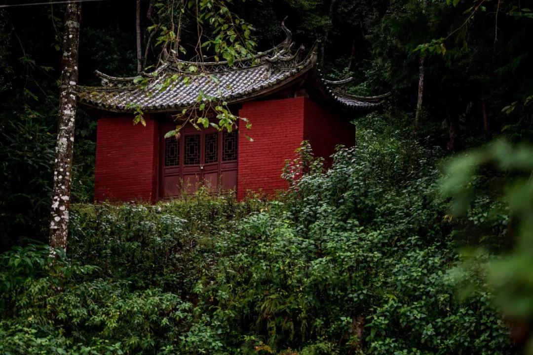 南山律居士入寺勿坐僧众床席座椅勿在中间拜垫拜佛