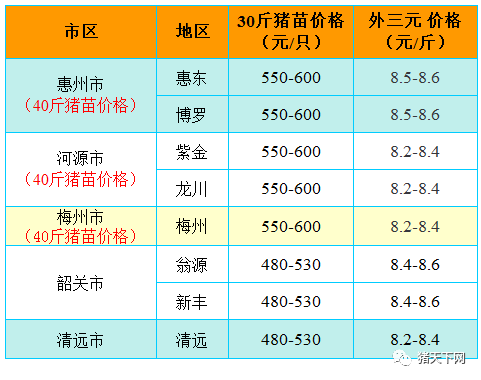 招聘兽医_畜牧兽医专业人才网 畜牧招聘(3)