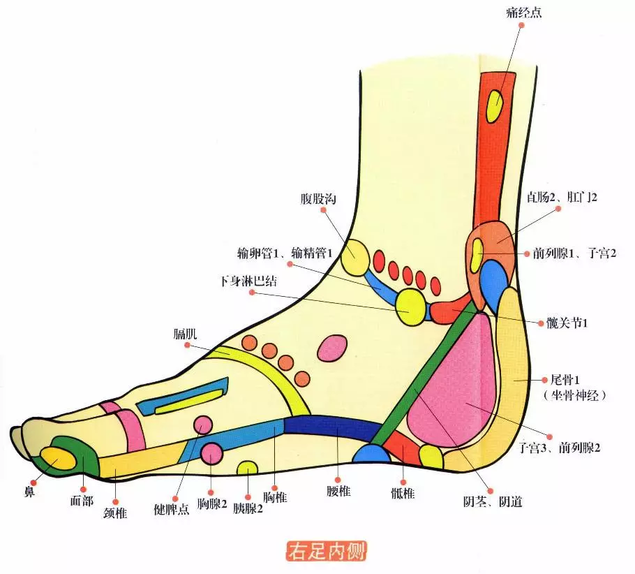 人家那束脚裤穿的可是妥妥的,再冷也不能冷脚踝——少林寺的师傅大概