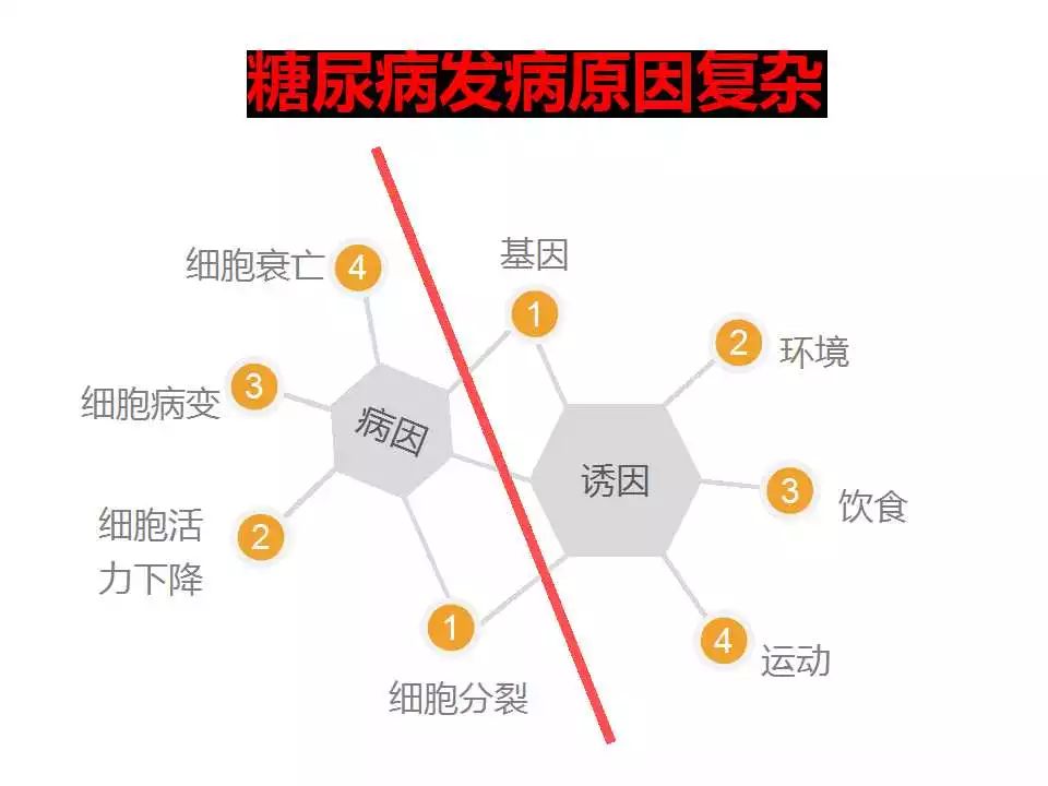 新甸镇人口_人口普查图片(3)