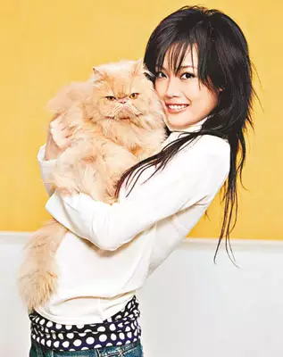 女神上線！劉亦菲曬與寵貓咪合照畫風唯美，盤點寵物與明星的故事 娛樂 第5張