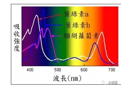 草缸究竟需要多少灯光?