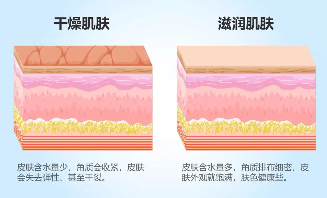 保湿,就是保护皮肤的水分不过分流失.