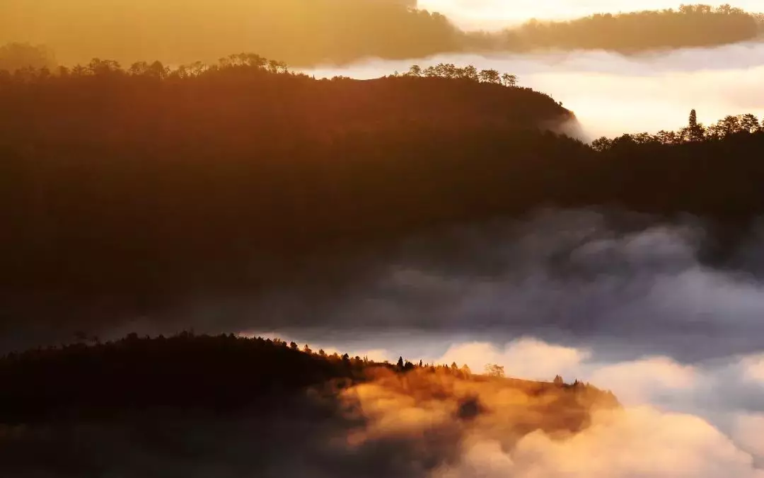 武夷山旅游 10月 12月是去武夷山的好季节 游碧水丹山 住云舒水境 风景区
