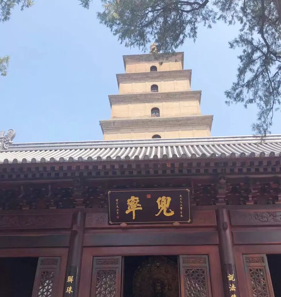 《福游记》福游大慈恩寺