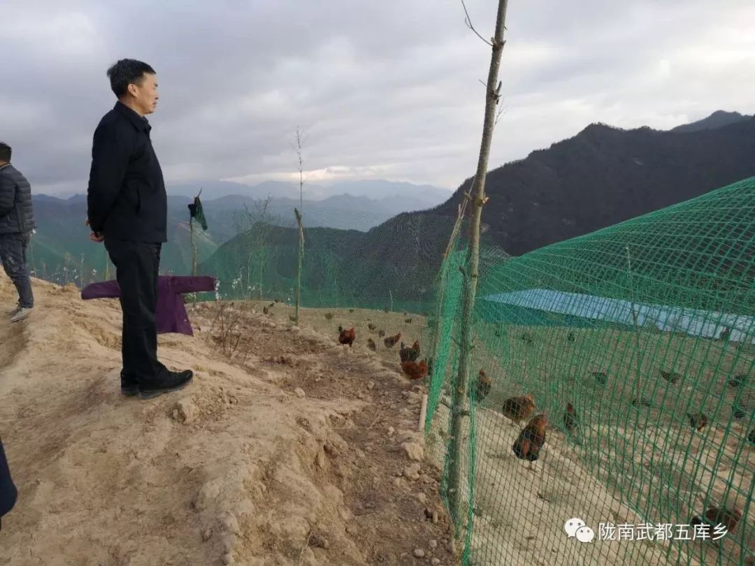 区委副书记张书怀深入五库镇检查指导基础设施建设暨特色产业发展情况