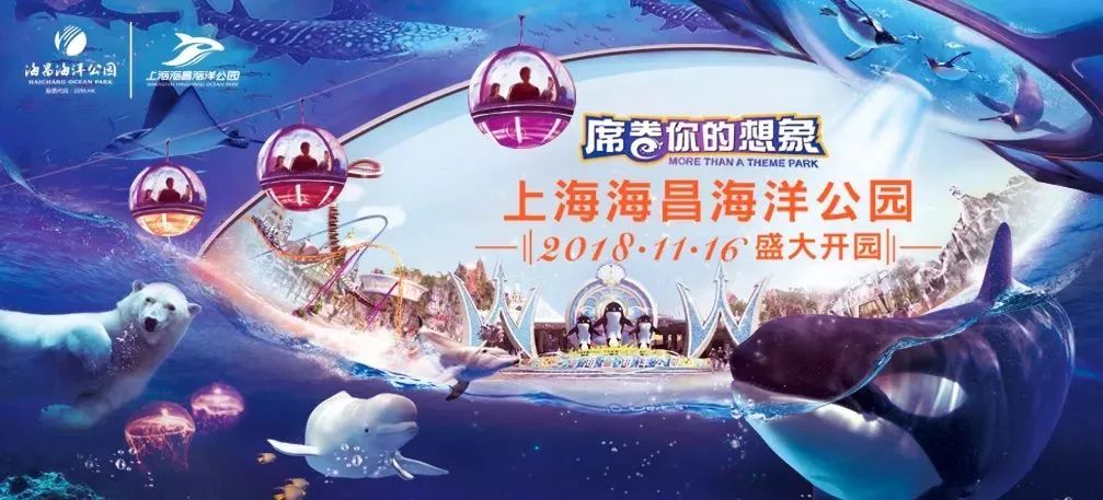 上海海昌海洋公园11月16日盛大开园!群星首秀,闪耀沪上!