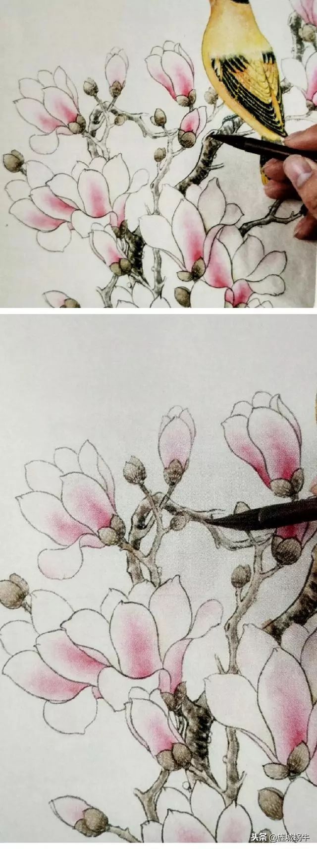 十三,调花青,点画玉兰枝干的苔点,完成整个画面的绘制.