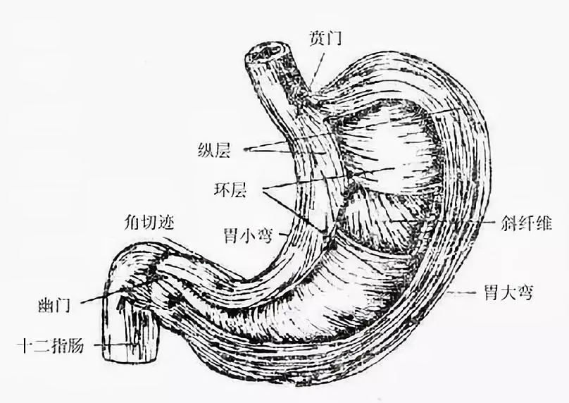 只要膀胱不炸裂,我憋着尿能把这套题做满分