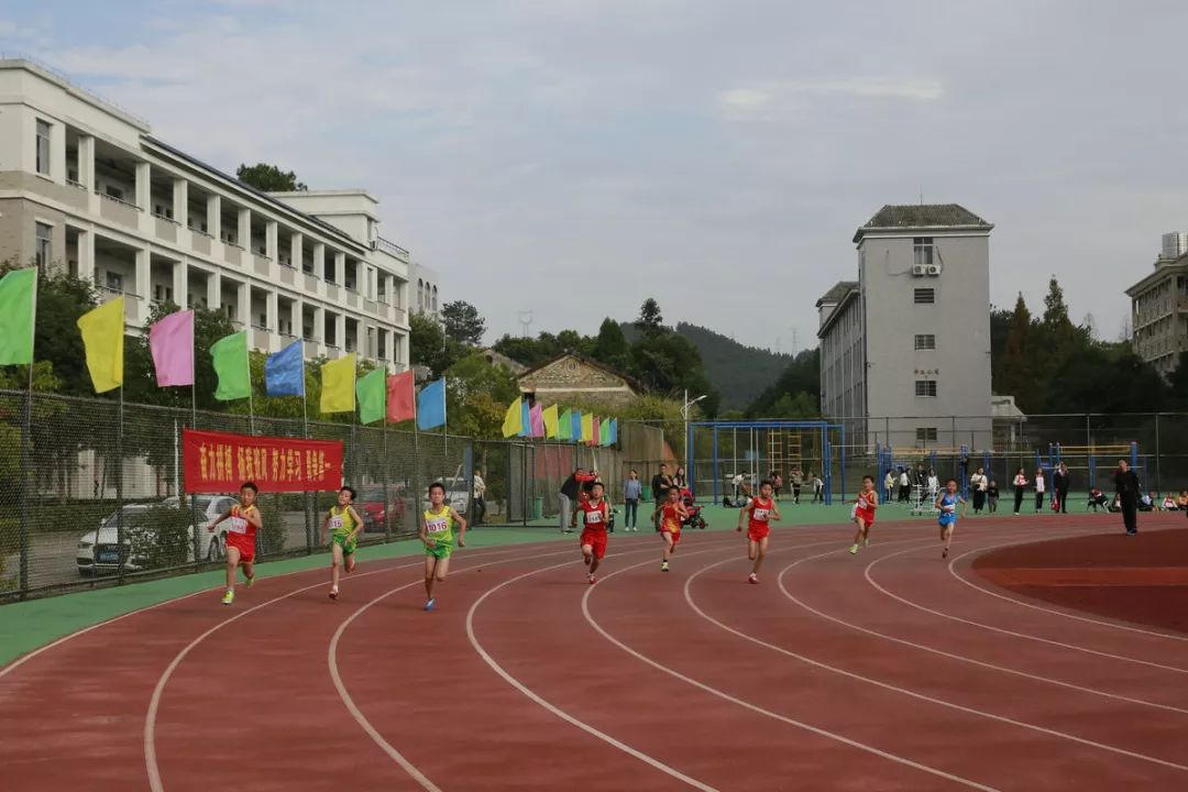 龙泉市举行2018年中小学生田径运动会_安仁小学