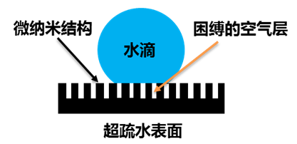 超疏水表面示意图