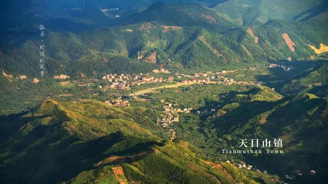 今日杭州杭州乡村振兴在路上临安天目山镇两宗好地即将出让