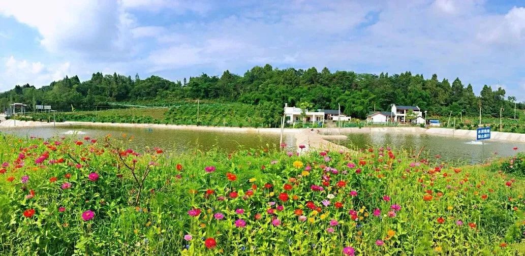 跟着微信逛简阳 | 禾丰镇 生态宜居特色小城镇