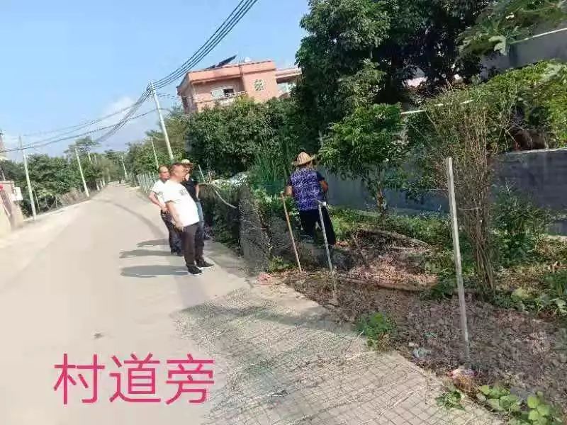 博罗长宁坚决打好三清三拆三整治攻坚战共同打造美丽乡村