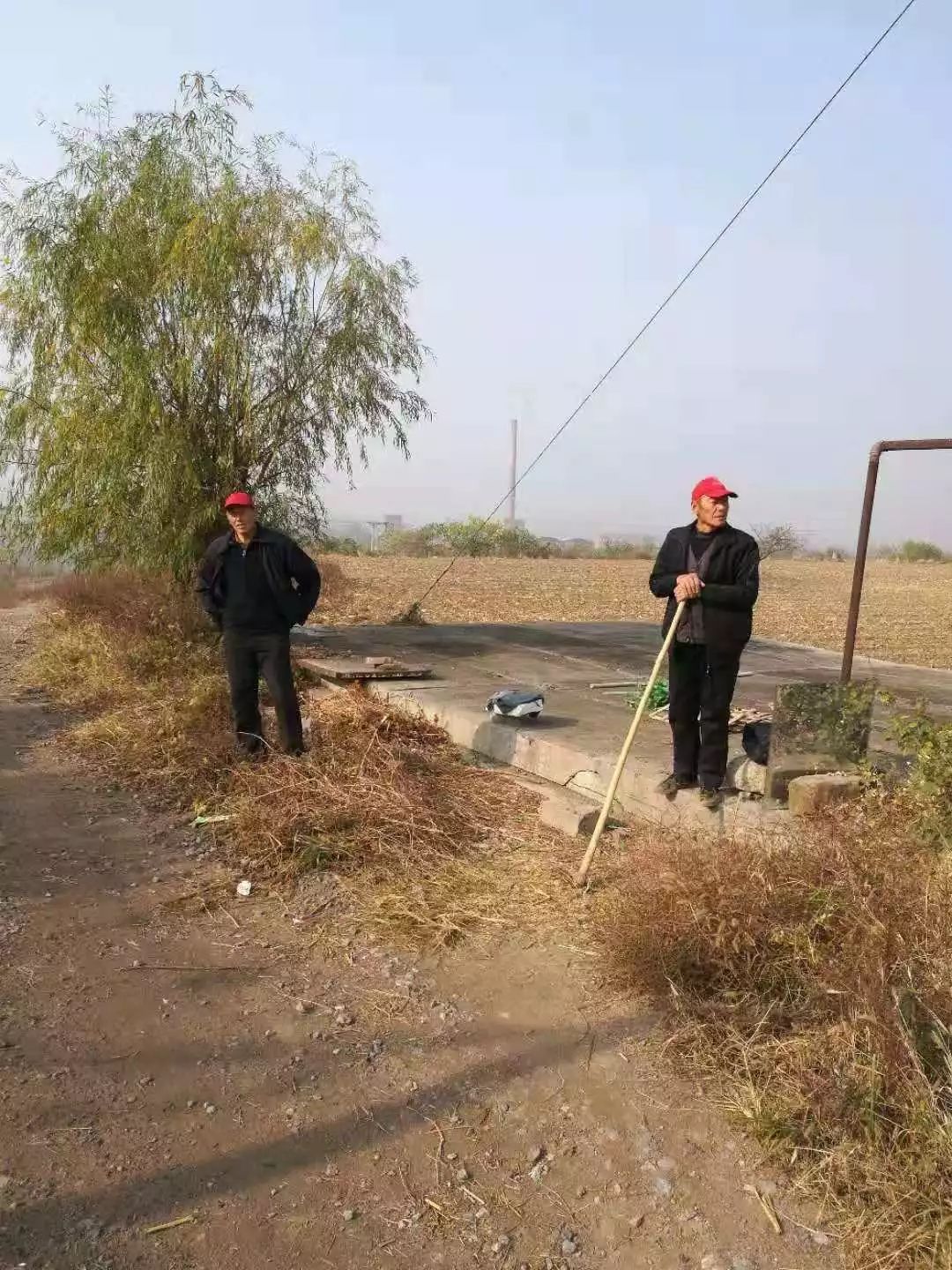 东王女村人口_人口普查