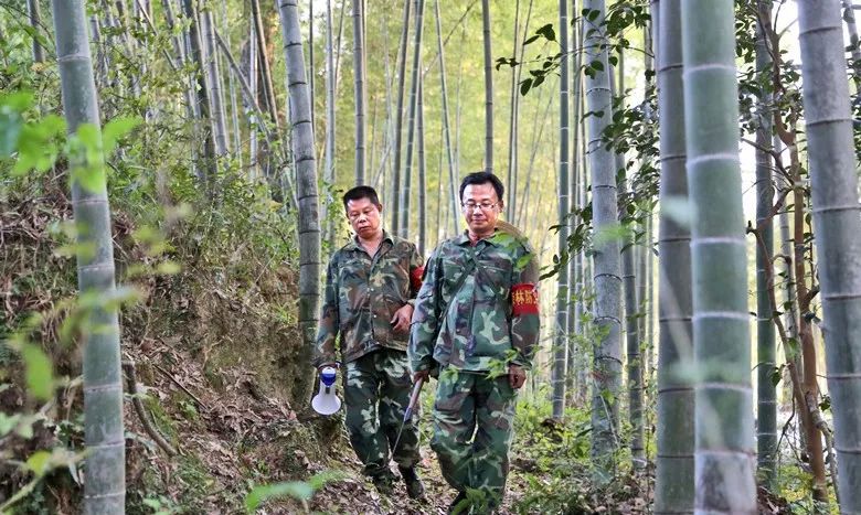 今年40岁的朱海勇,是改革开放同龄人,是沙溪林场潭头