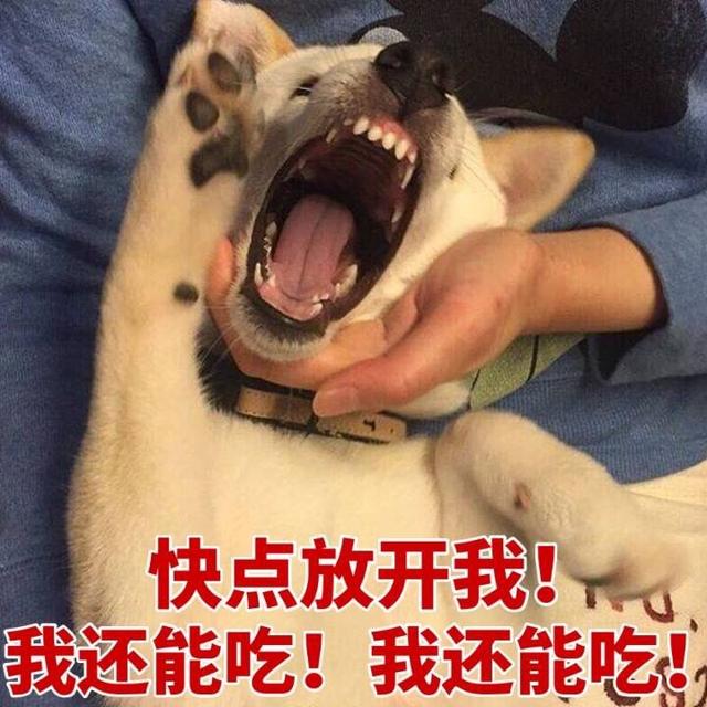 快点放开我!我能吃!我还能吃