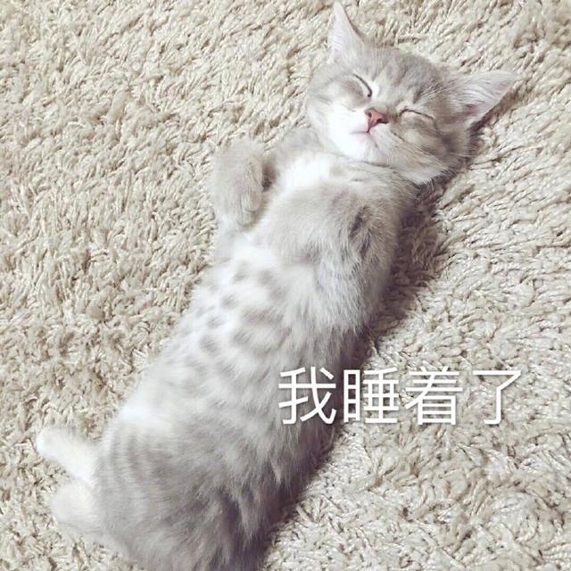 搞笑的猫咪表情包31张,拿去折腾男朋友吧!