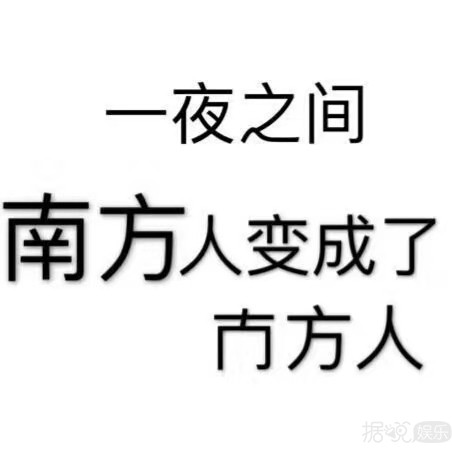 半價會員買1送199？王思聰欠全民1萬塊？這個雙十一不簡單 娛樂 第32張