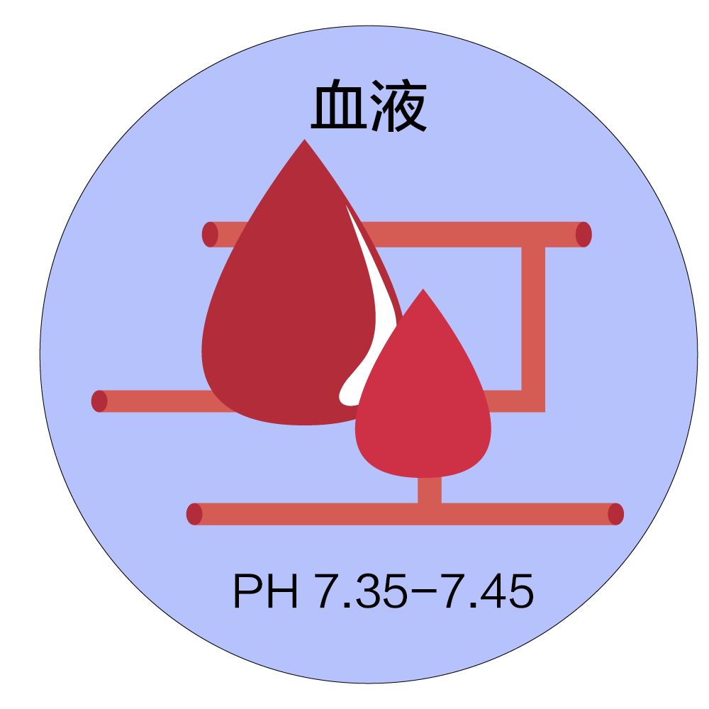 事实上,我们现在约定俗成的人体的ph值是以血液ph值为指标的,且恒定在