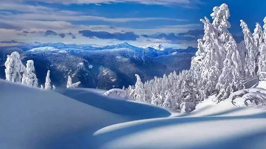 古筝《我爱你塞北的雪》漫天飞舞的雪花,是春天的使者