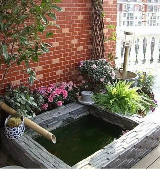 在落地院子中建造水池其实比在屋顶上稍微复杂一些,但是效果更为亲切