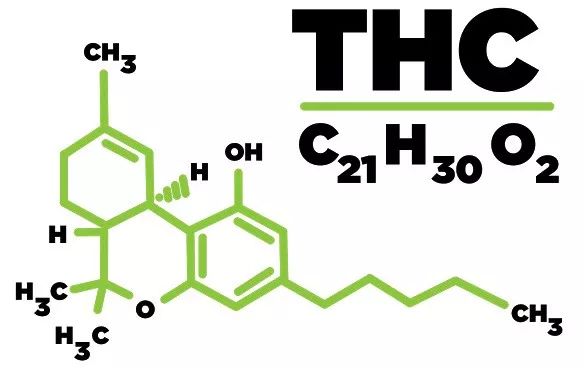 【禁毒小常识"软毒品"的"硬伤害—论大麻合法化的危害