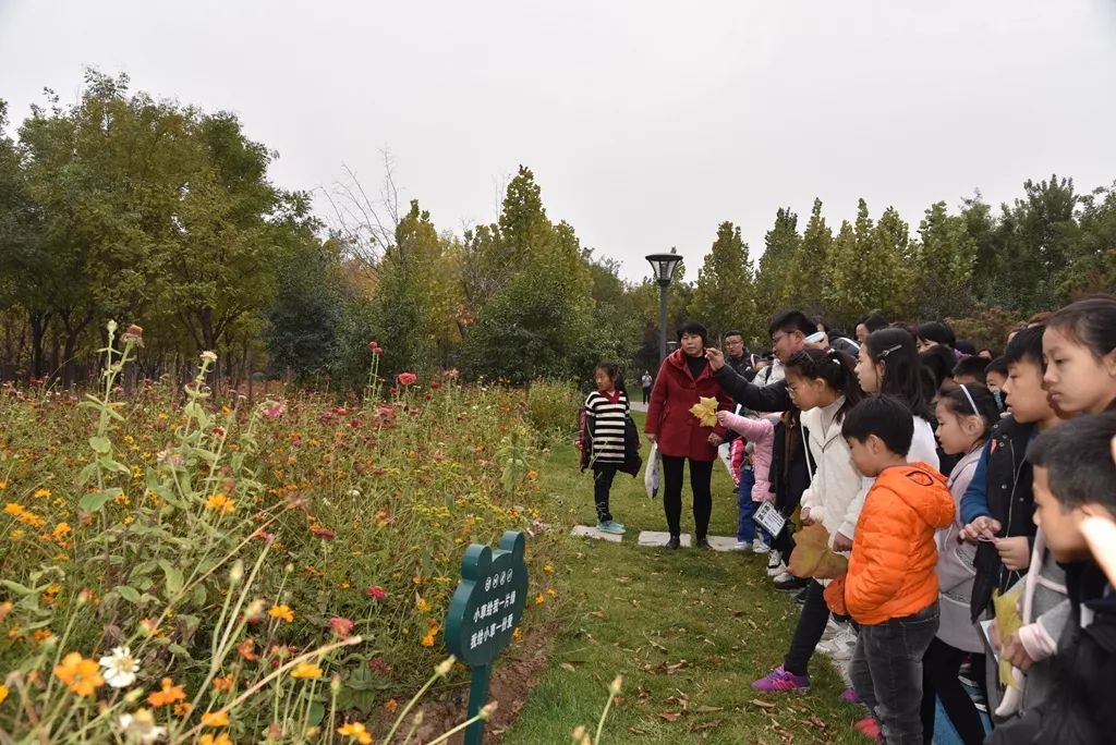 趣味科普温暖有你本报邯郸植物园深秋亲子游园会圆满结束