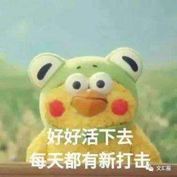 分享| 朋友圈生活百态:为什么有些人总换微信头像?