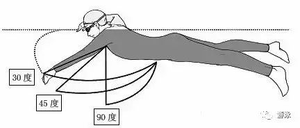 自学自由泳四步骤之三-前交叉分解游!