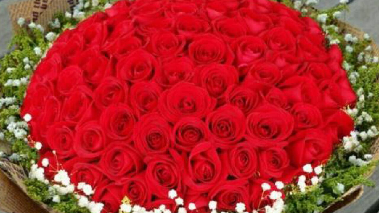 世上最美的玫瑰花,送给最美的你,祝你爱情甜蜜,永远像