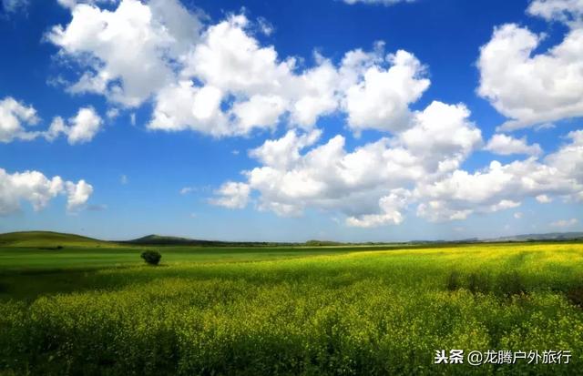 锡林郭勒的四季风景