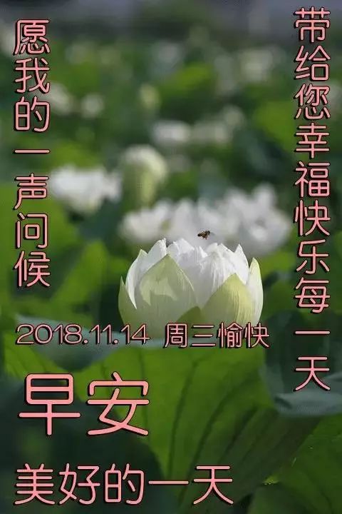 2018最新漂亮早上好问候语表情动态图片 最美早安问候