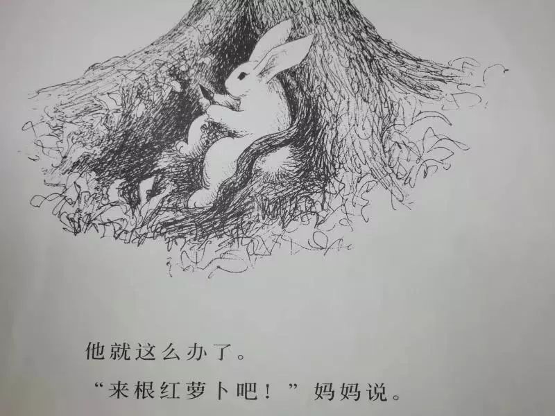 【故事百宝箱】来听听何昊泽小朋友讲的《逃家小兔》吧!