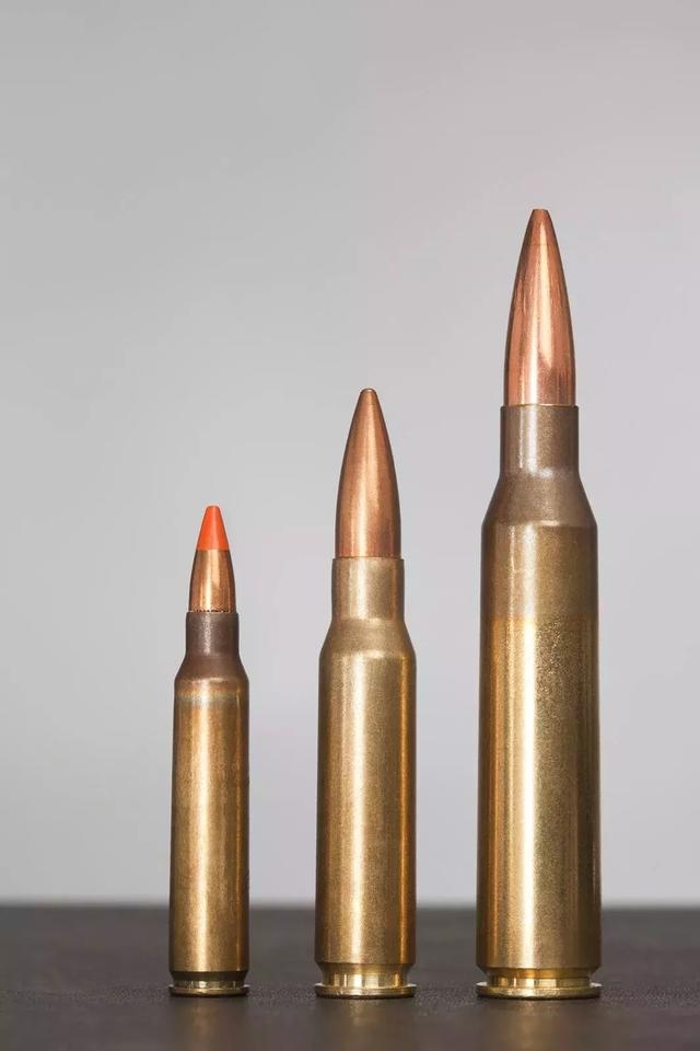 这种情况下,新的.338(8.6x70mm)拉普马格南弹出现了.