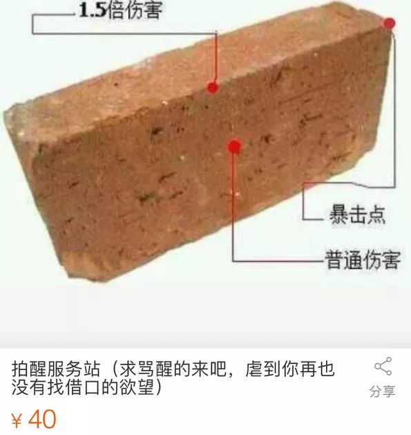 现在想买一块砖头把自己拍醒