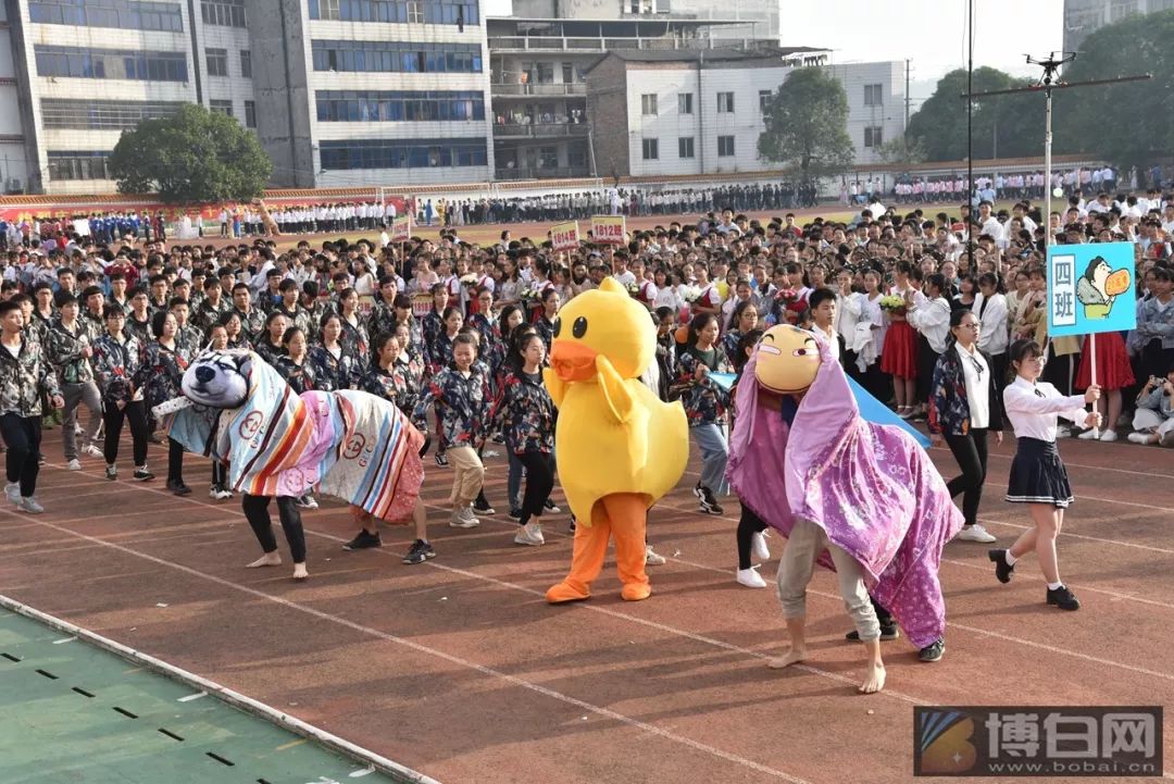 又是一年紫荆花开,博中校运会创意开幕式吸引了近5万人围观!