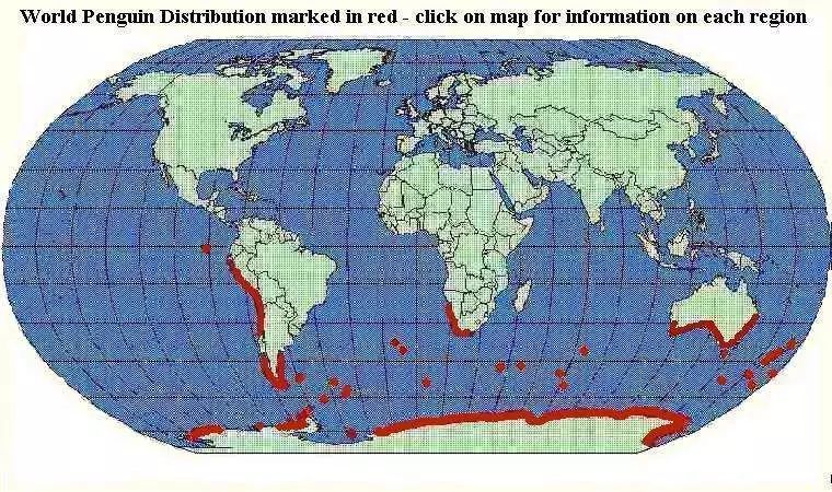 ▼这是企鹅的分布图, 除了南极洲,非洲,南美洲 qq企鹅是什么企鹅?