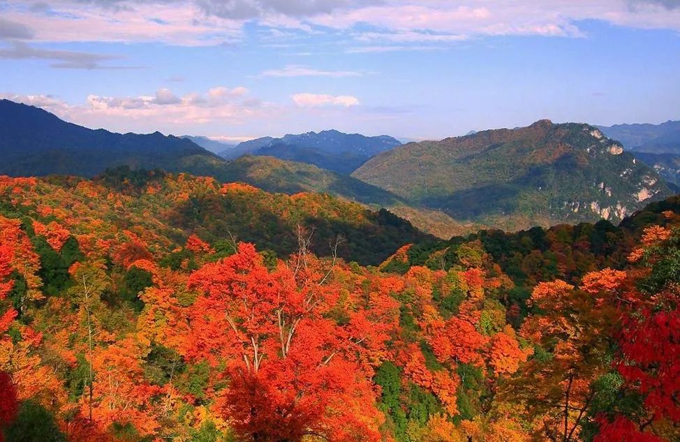 光雾山号称云雾里的村镇,地处光雾山国家风景名胜区腹地,位于南江县