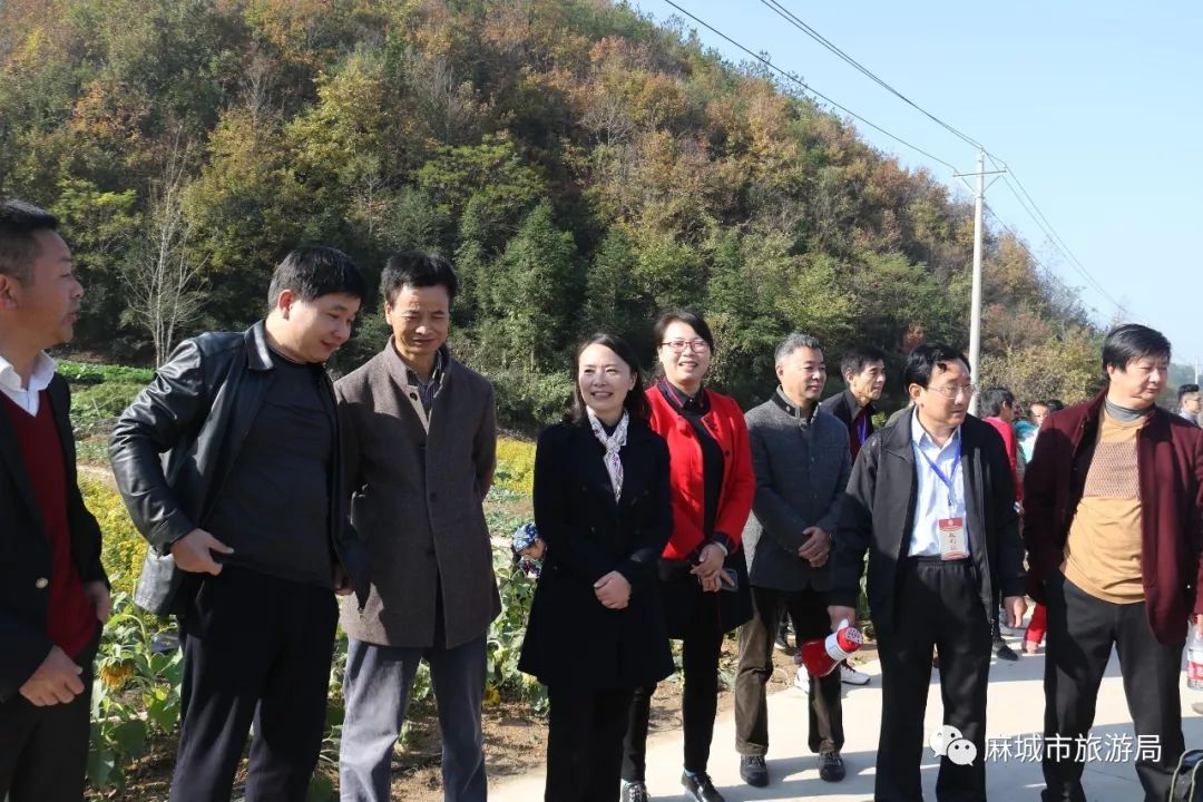 以赛事为媒 黄土岗镇菊香人家景区 福田河镇福白菊观光园,纯阳大峡谷