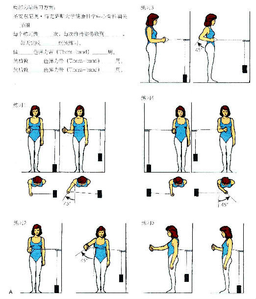 肩关节力量练示意图(一): 1外旋肌力练;2外展肌力练;3 后伸